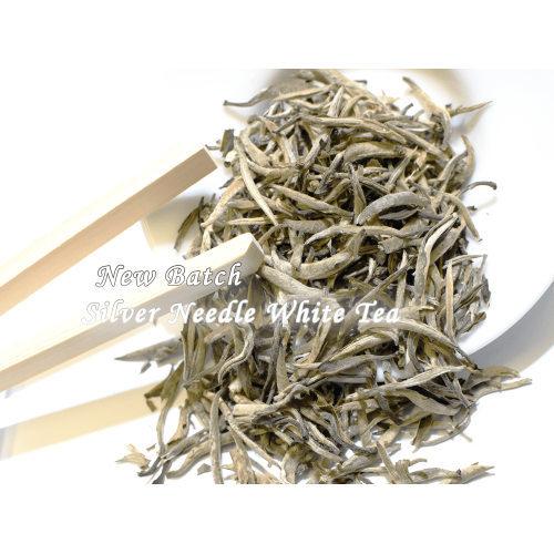Silver Needle White Tea